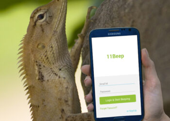 All new startup app 11Beep lets you share auto-expiring social status