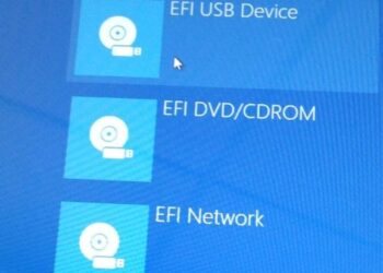 BIOS booting options for UEFI USB Device, DVD/CDROM & EFI Network