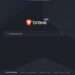 Brave search dark mode