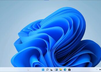 Windows 11 desktop UI