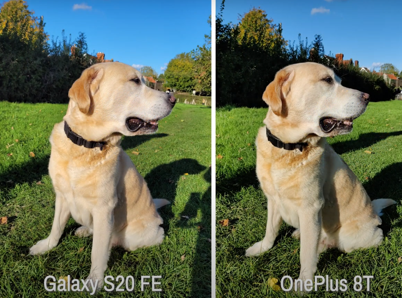 Head to head comparison: OnePlus 8T vs Samsung Galaxy S20 FE 6 main camera sample test